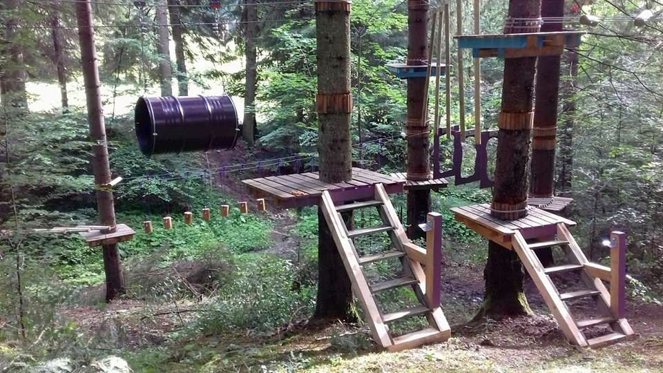 Noutăţile de anul acesta ale Taberei „Floare de colţ” 13765