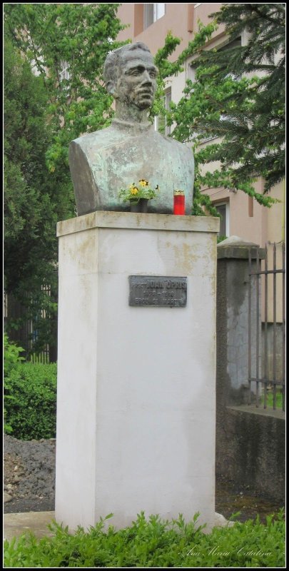 Preotul turdean Ioan Opriș, erou și martir al neamului 13825