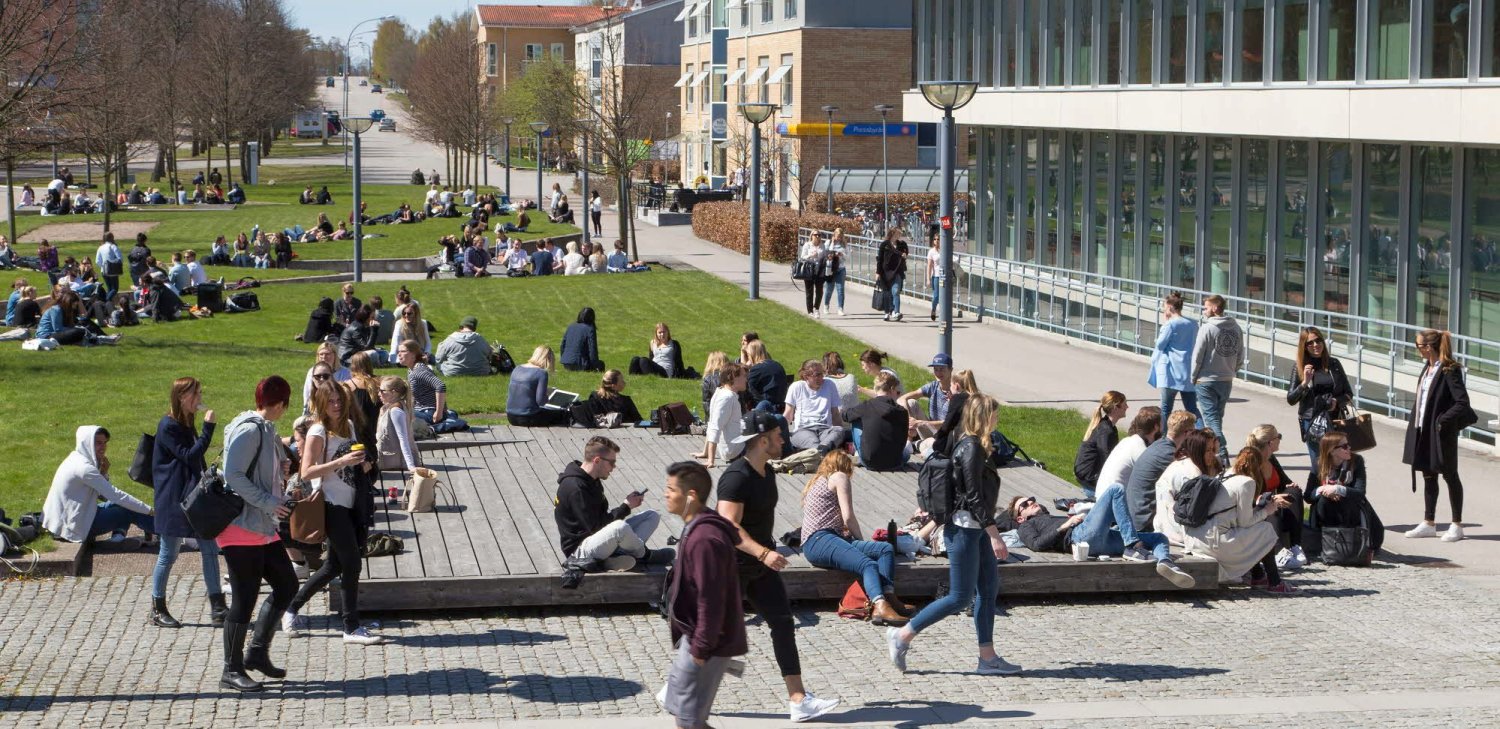 Viitorul tinerilor noștri, larg deschis spre Occident 13922