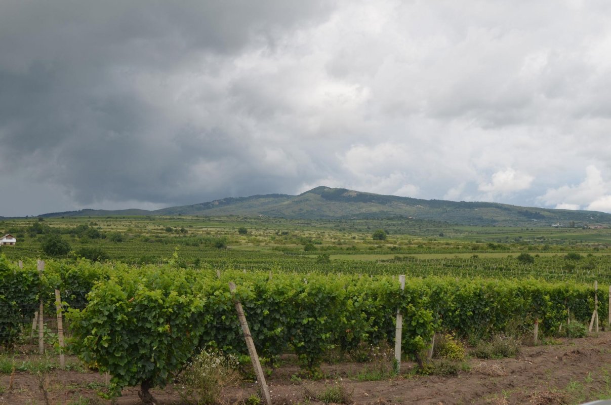 Când piatra transmite duh 13455