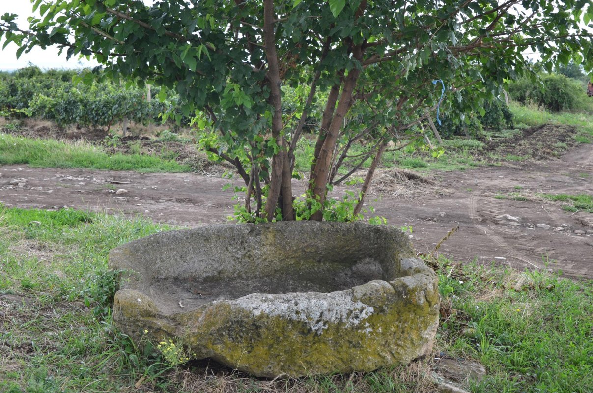 Când piatra transmite duh 13456