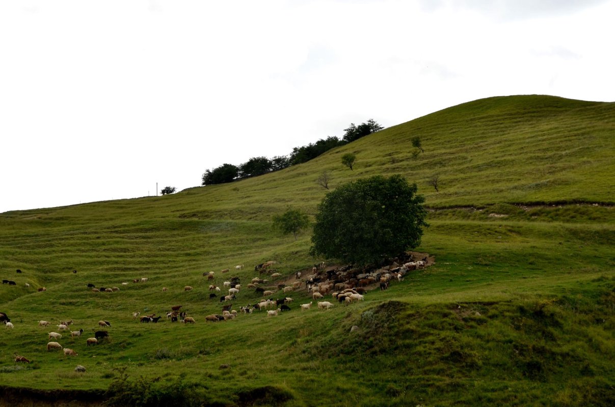 Când piatra transmite duh 13457