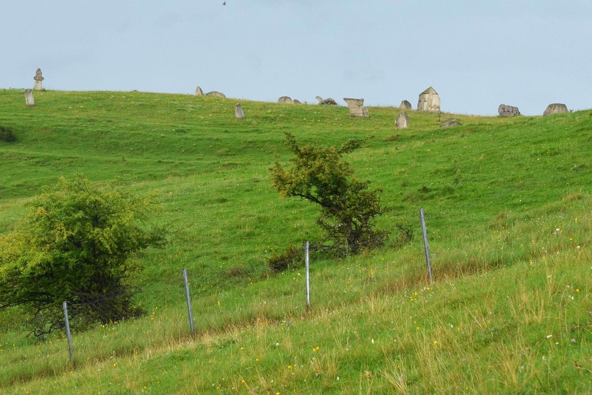 Când piatra transmite duh 13463