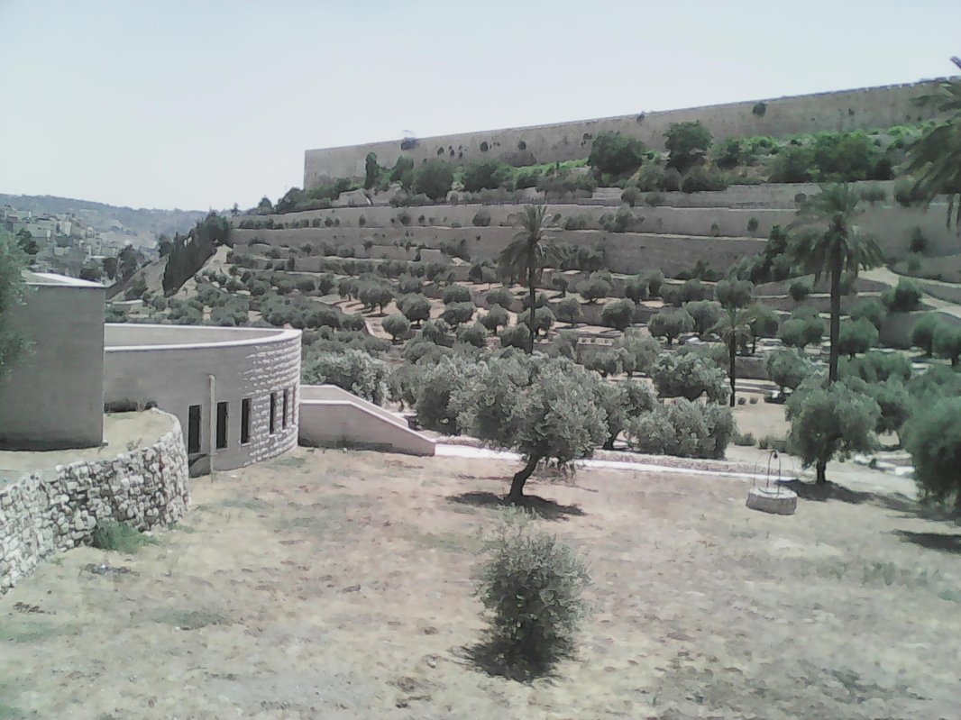 Adormirea Maicii Domnului, între credință și istoricitate 12700