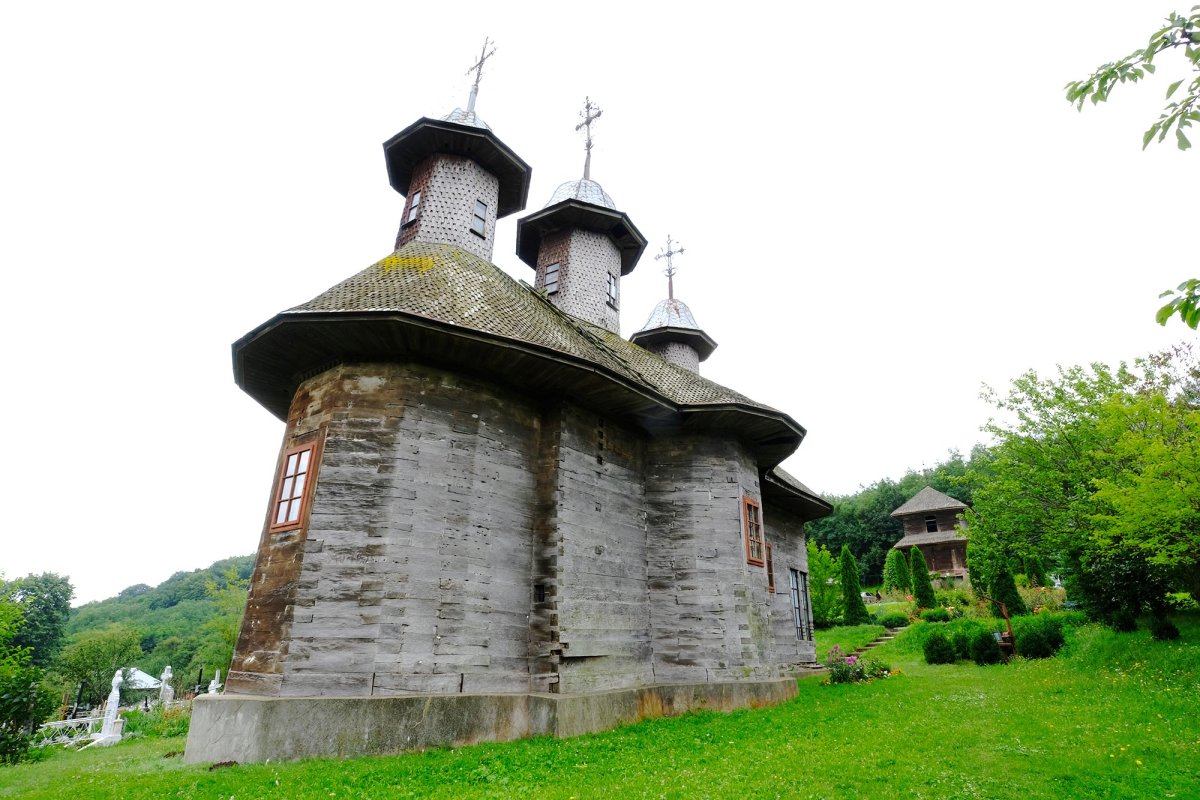 „Densușul” de lemn de pe Albia Pârveștilor 12480