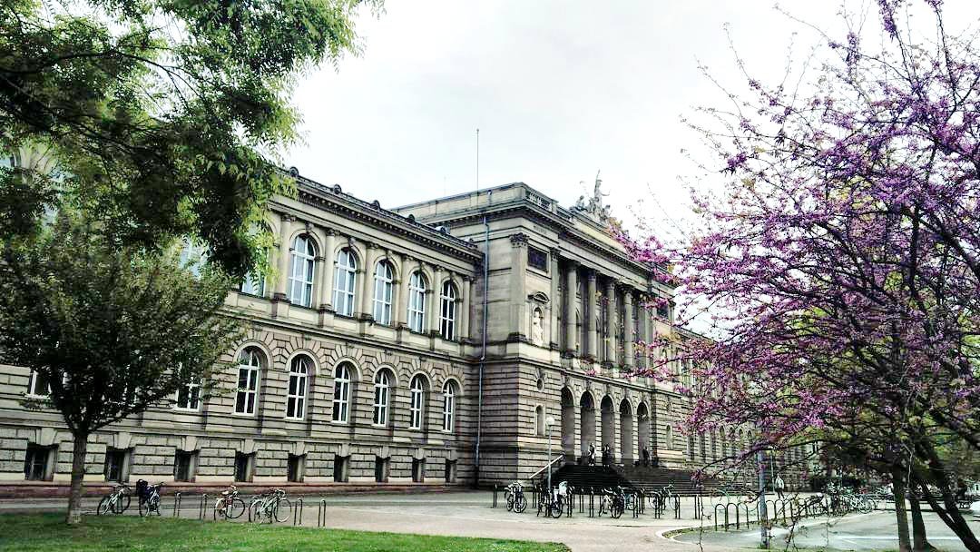 Educația în Franța - între principii și provocări 12123