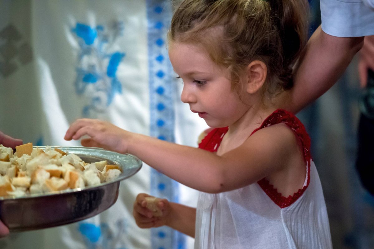 Biserica, veșnica vie roditoare a celor care bine au lucrat 12311