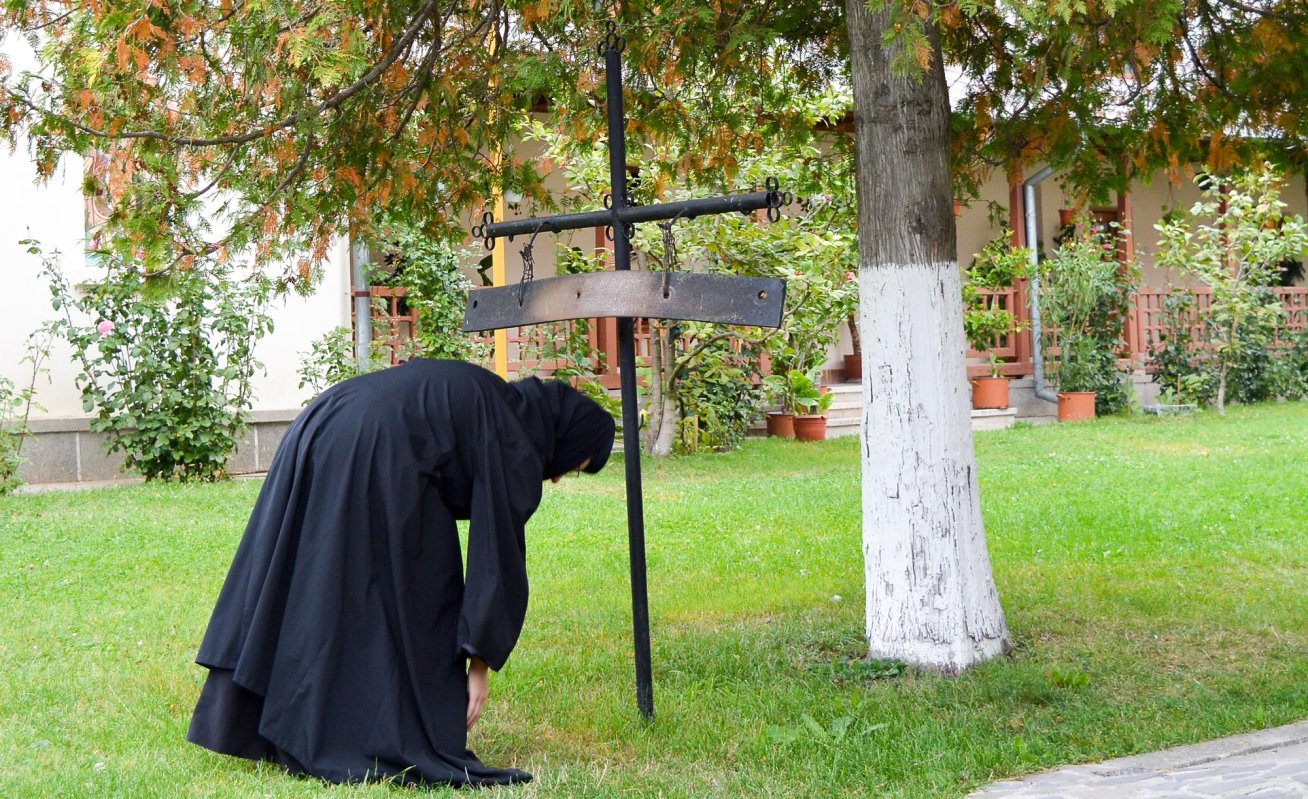 Postul, și nu împlinirea voii trupului 11936