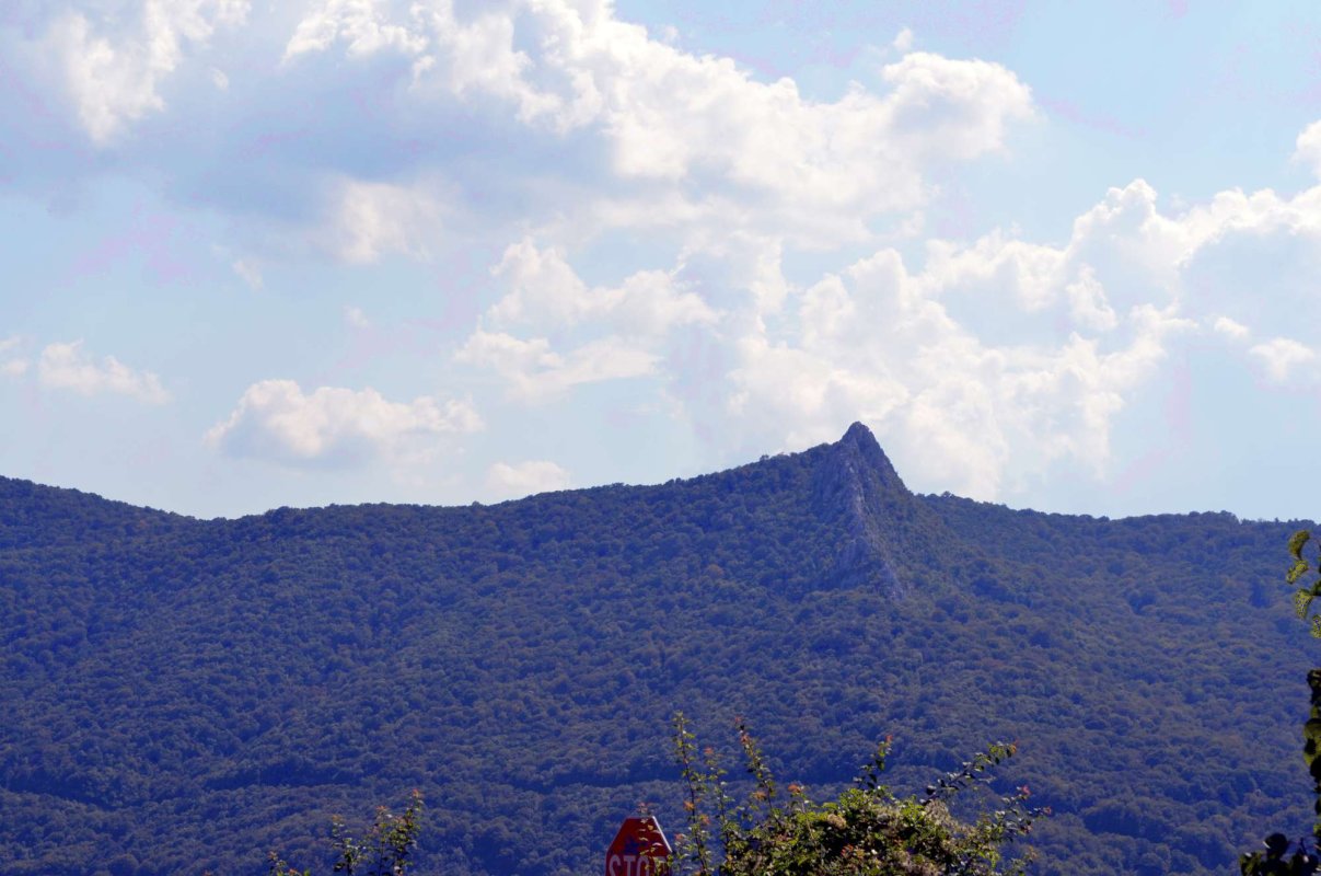 Vodița, maica în duh a monahismului românesc 11577