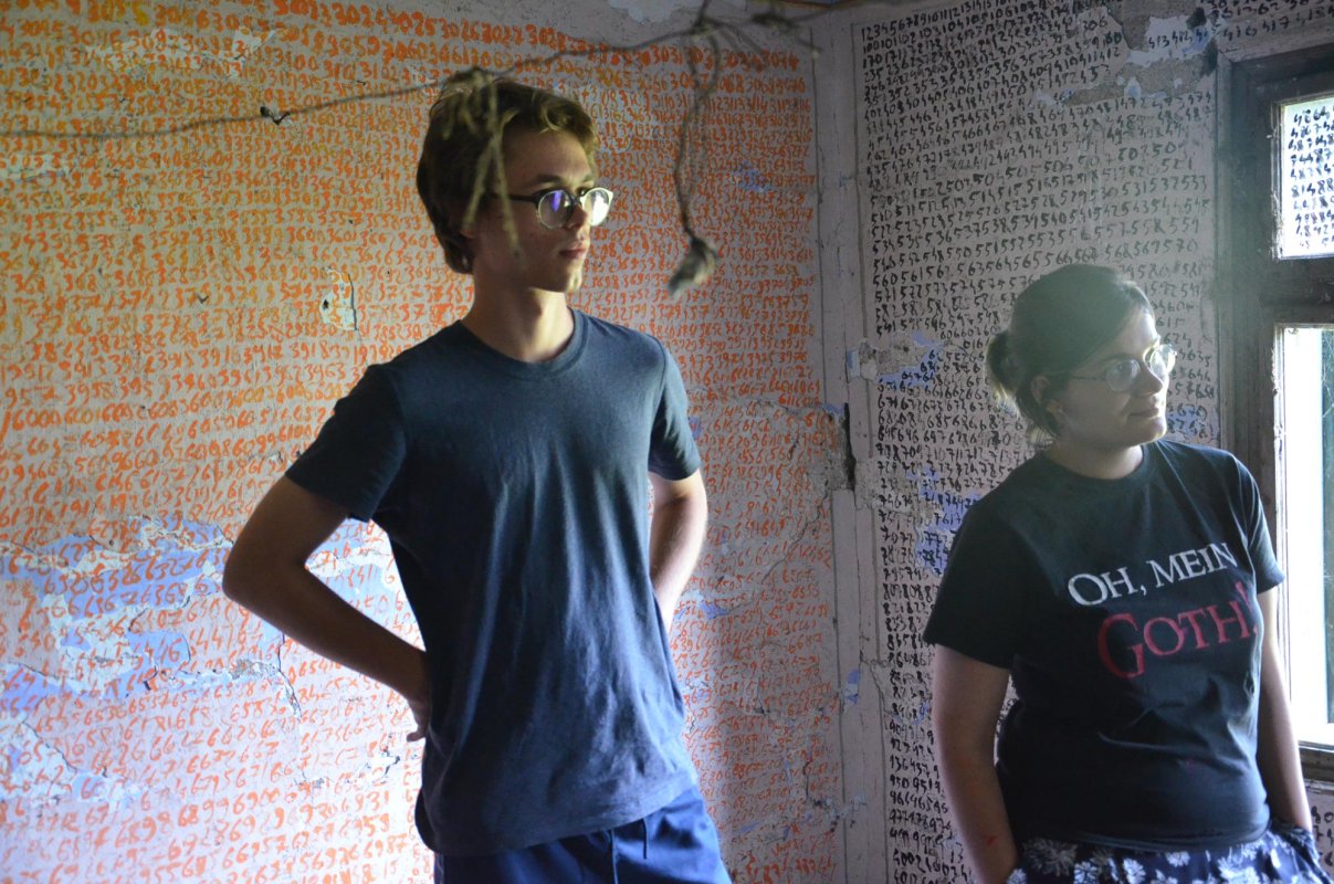 Tabăra de creație, la Sălciua Nouă, județul Timiș 11532