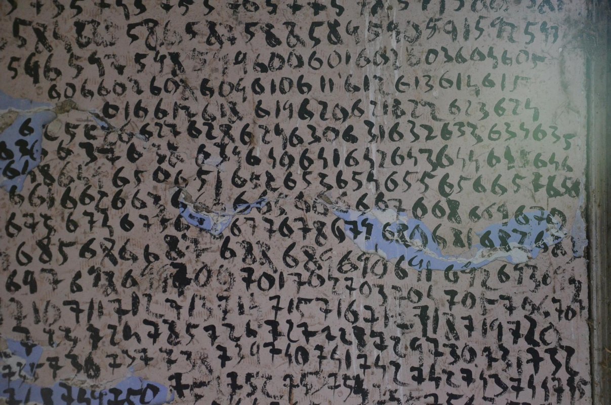 Tabăra de creație, la Sălciua Nouă, județul Timiș 11535