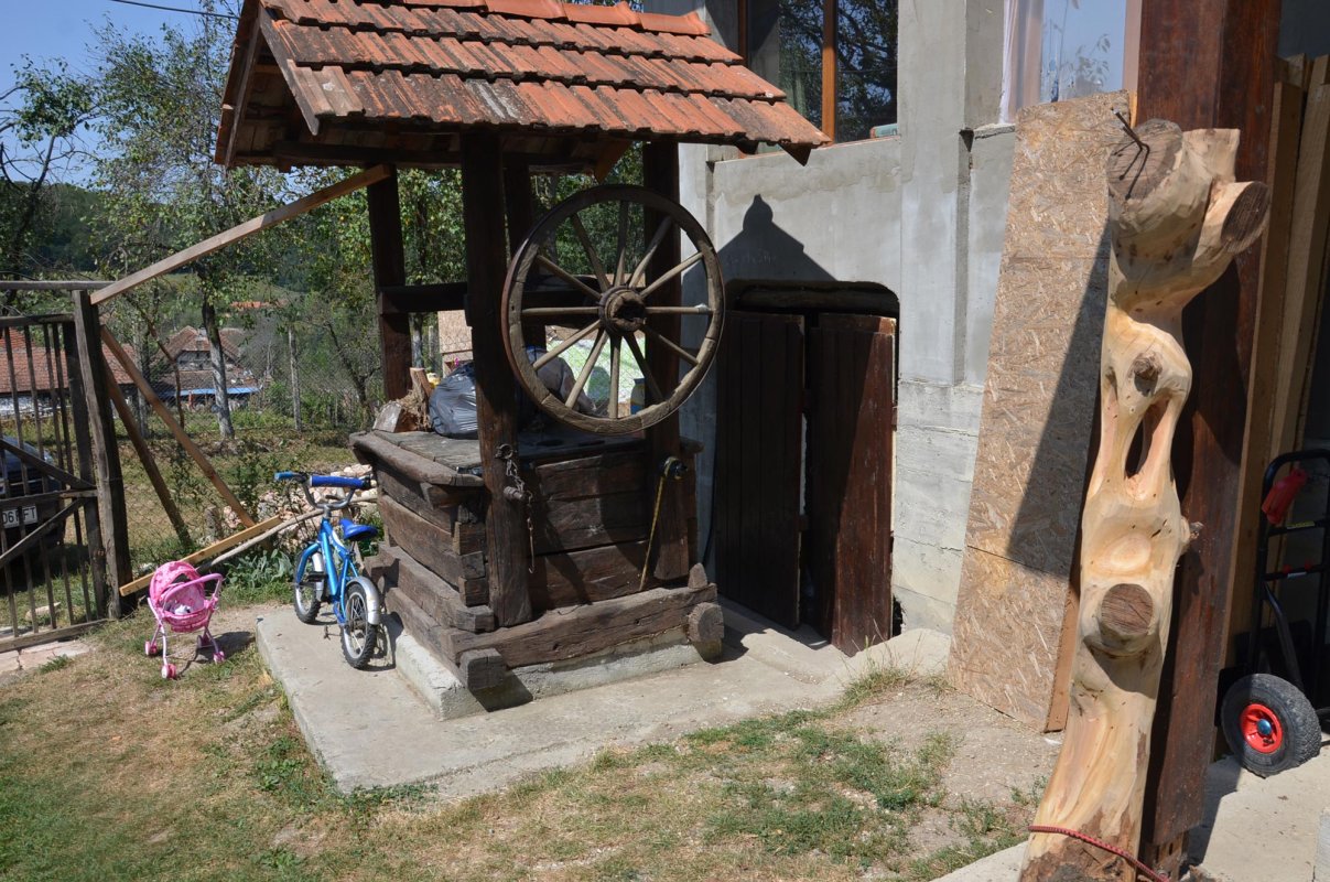 Tabăra de creație, la Sălciua Nouă, județul Timiș 11538