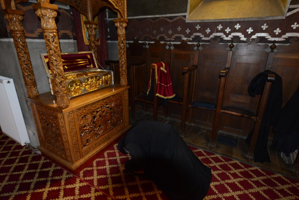 Vieţuirea în singurătate, expresie a iubirii și dorului de Dumnezeu 11556