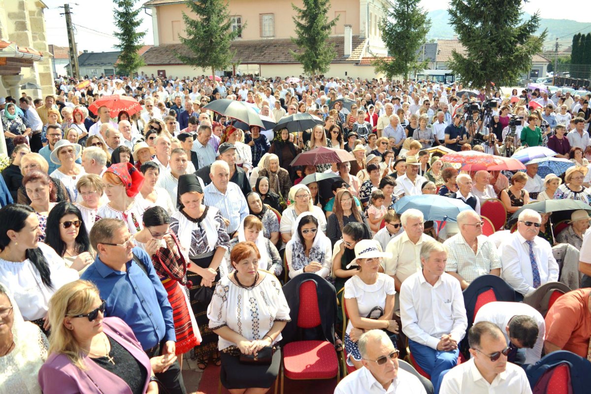 Slujiri arhierești în cea de a 14-a Duminică după Rusalii 11463