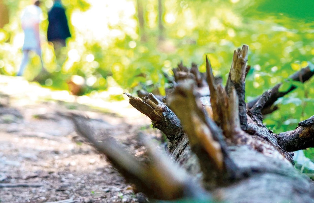 Numai prostia sau nesimţirea ne-ar mai putea despărţi de Dumnezeu 11245