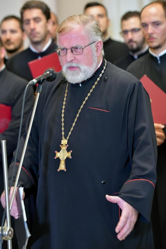 Omagiu pentru mareșalii Prezan și Averescu 11083