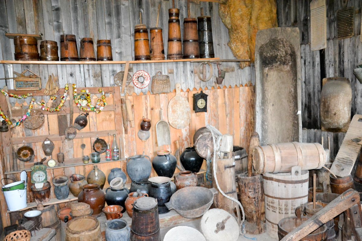 Sufletul satului, aciuat în ograda lui Dionizie Olenici 11020