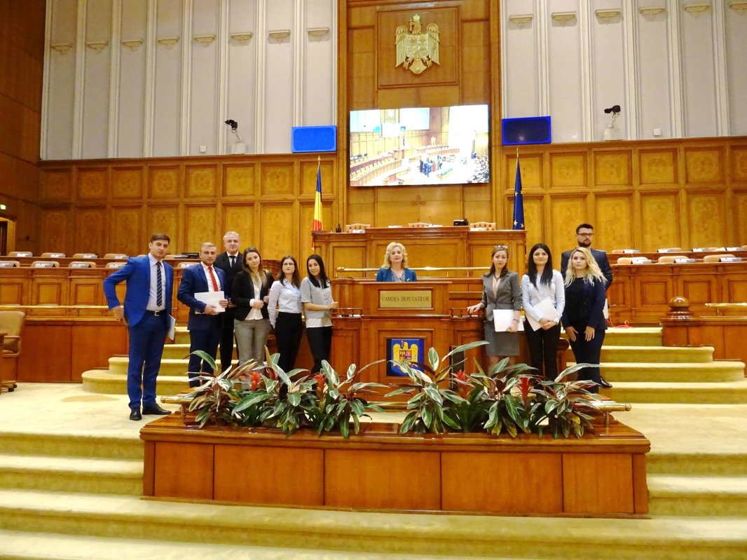 Paradoxurile învăţământului românesc 10824