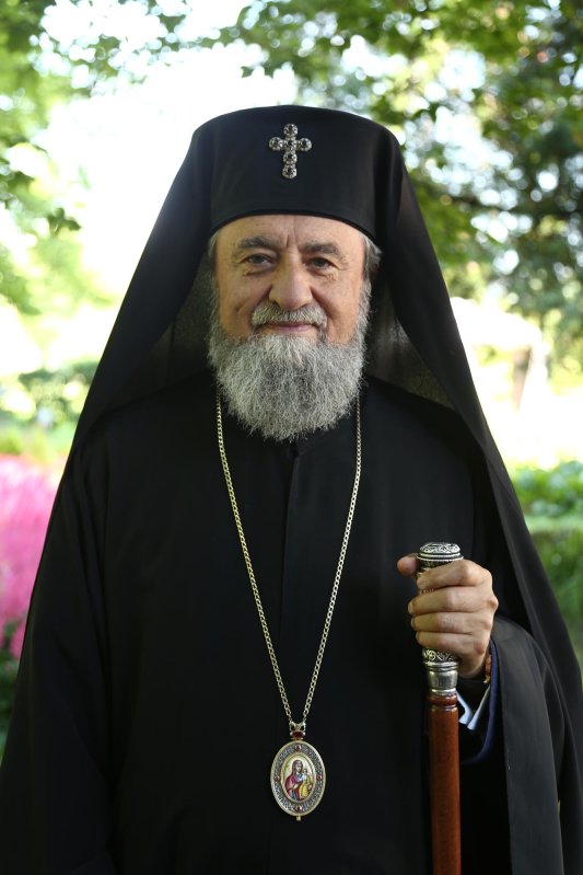 Tinerii, cea mai sinceră și curată manifestare a comuniunii și iubirii 10748