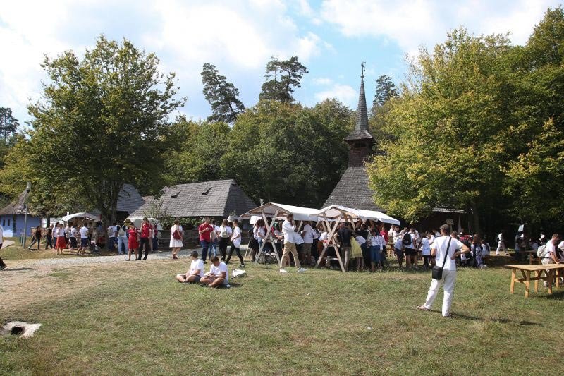 Participanții la ITO 2018, oaspeți la Muzeul ASTRA din Dumbrava Sibiului 10593