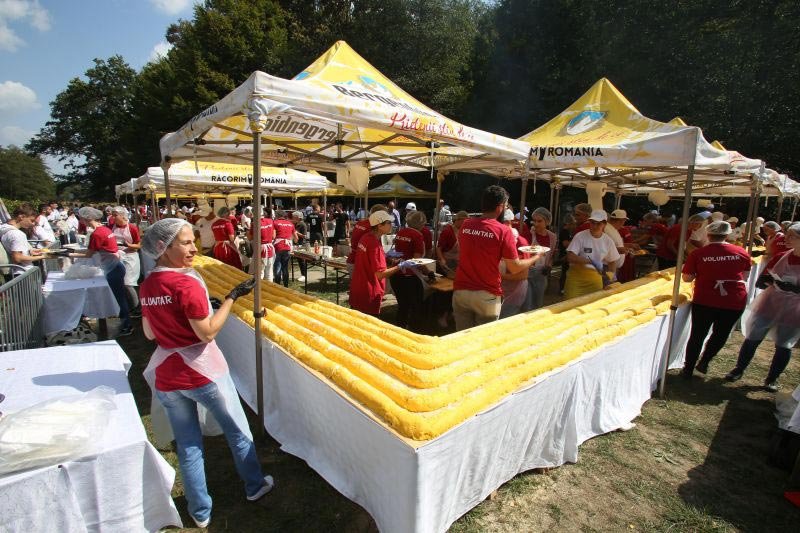 Participanții la ITO 2018, oaspeți la Muzeul ASTRA din Dumbrava Sibiului 10599