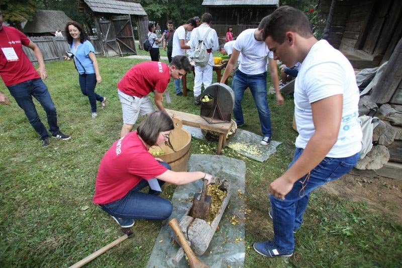 Participanții la ITO 2018, oaspeți la Muzeul ASTRA din Dumbrava Sibiului 10602