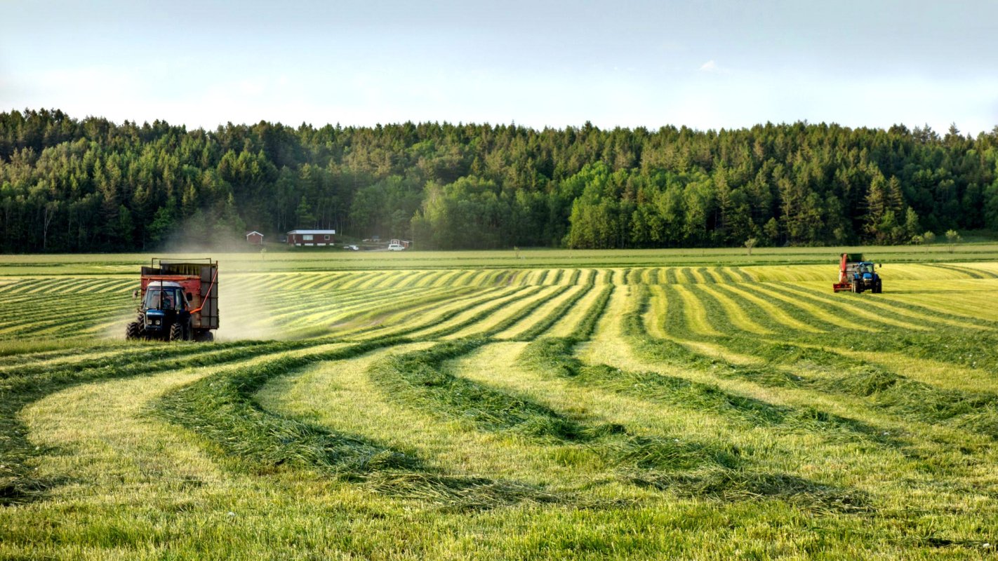 Plăţile directe pentru fermierii români vor creşte din 2020 10580