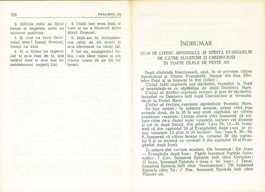 Amintiri despre Biblia mea 10508