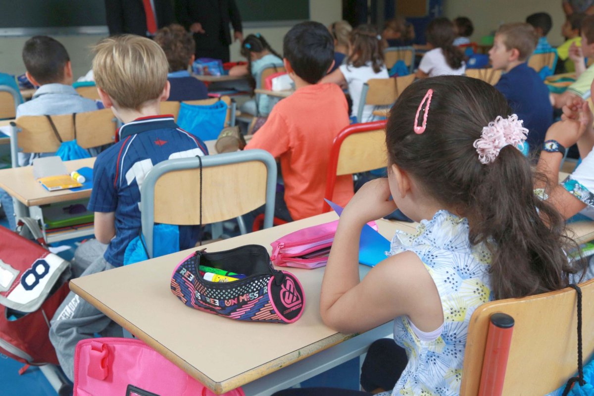 Școala, oglinda societății 10490