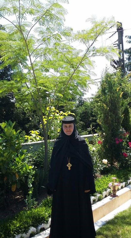 Trecut și prezent sub binecuvântarea Sfântului Teodosie 10039