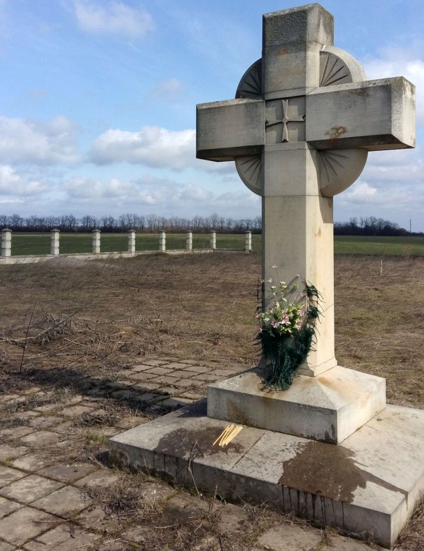 Povestea unei poezii, cinstirea unui erou 10215