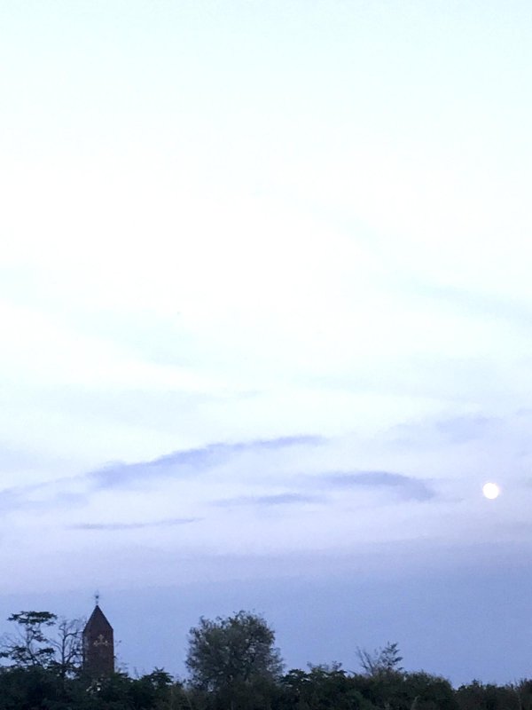 Singurătăți fericite 9676