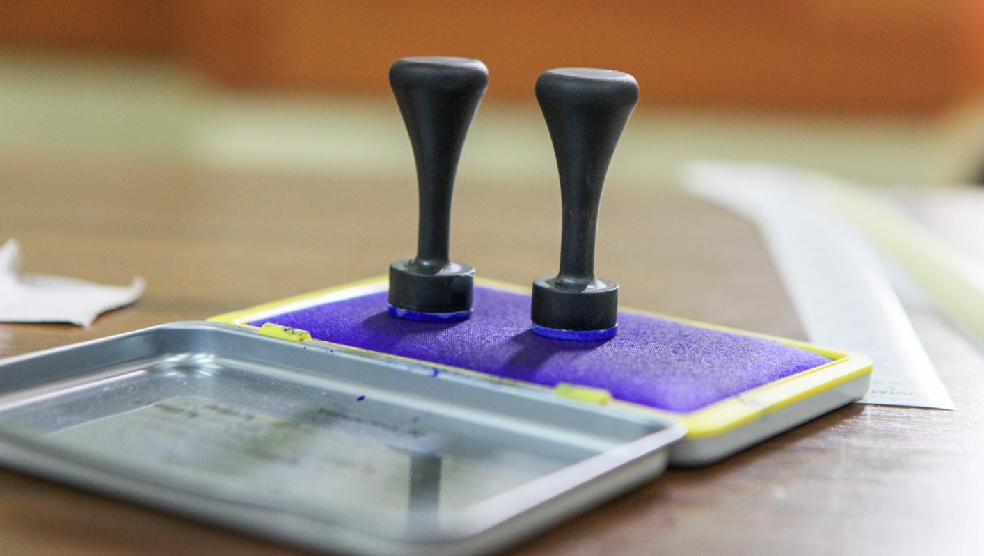 Cum vor putea vota persoanele netransportabile 9476