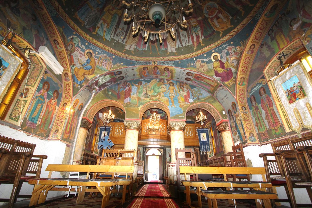 Slujire misionară în Parohia Turnișor, Sibiu 9237