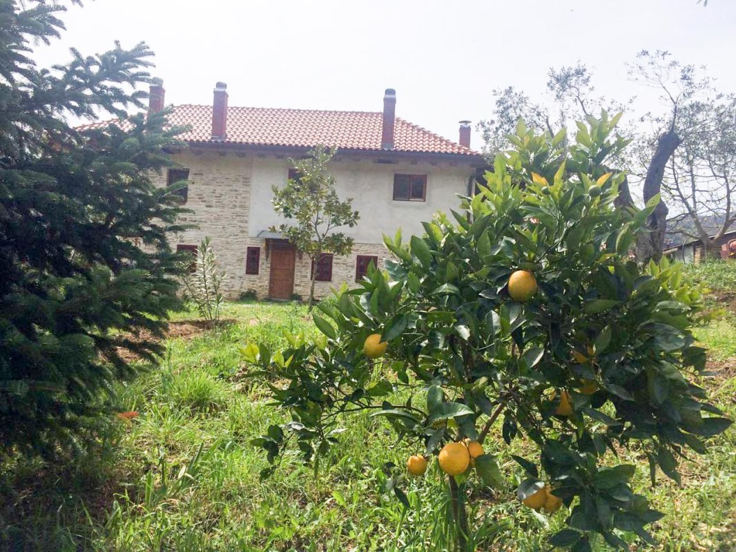 O chilie păstrătoare a tradiției românești în Muntele Athos (II) 9213