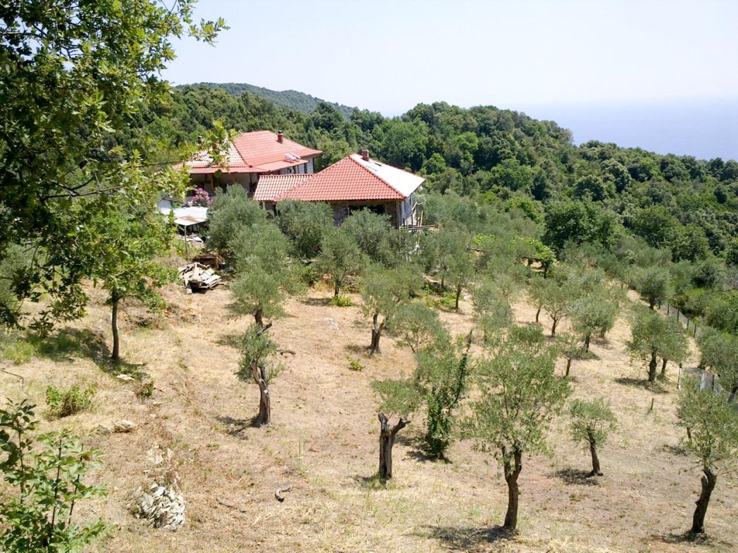 O chilie păstrătoare a tradiției românești în Muntele Athos (II) 9214