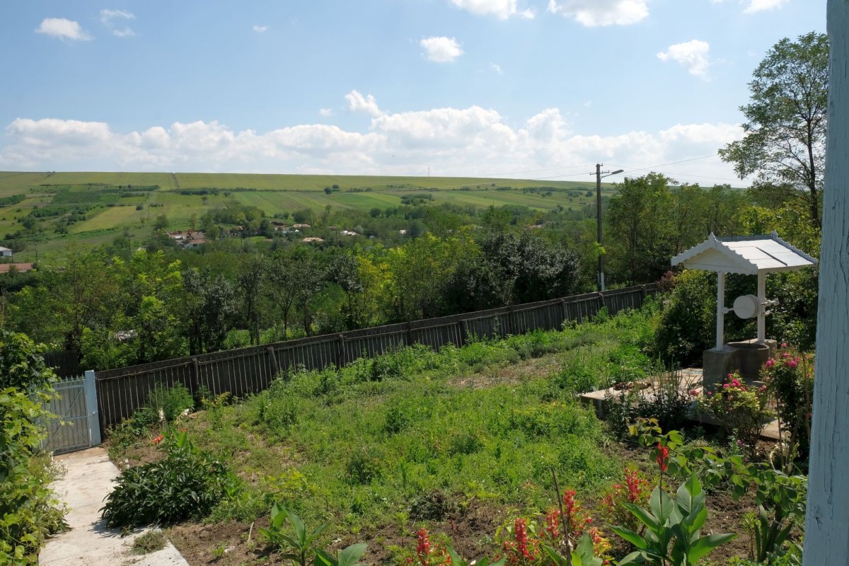 O femeie pe care nu ai cum să o uiți 9043