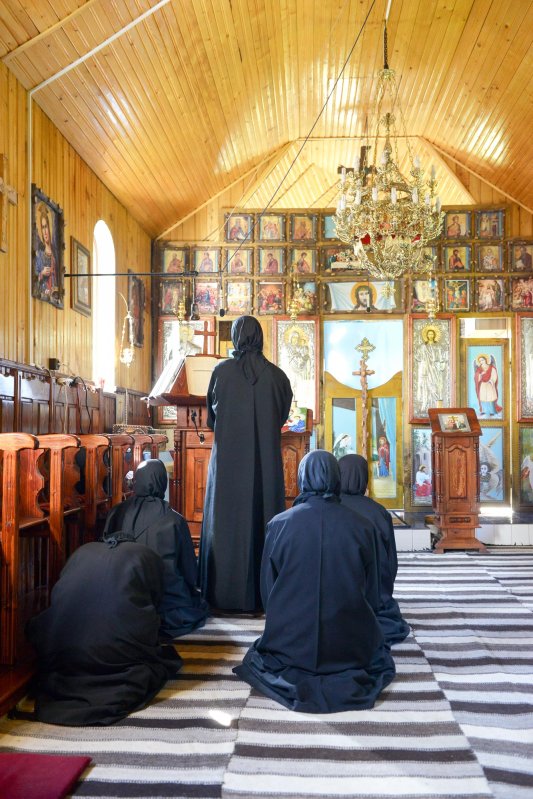 Smerenia și disponibilitatea pentru adevăr 8995