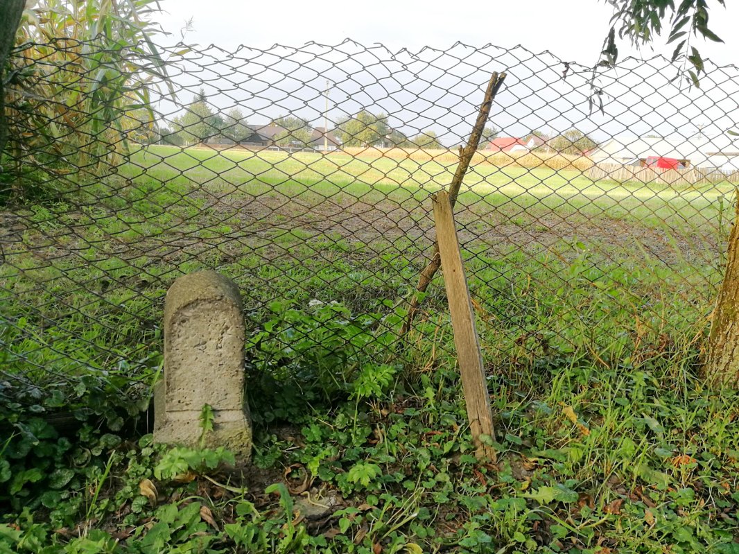 Bucovina, o lume despărțită în două 8778