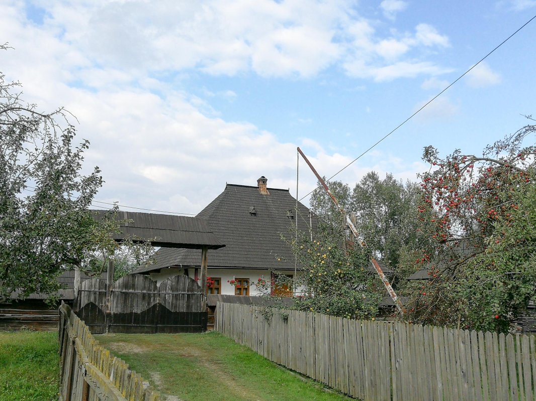 Bucovina, o lume despărțită în două 8779