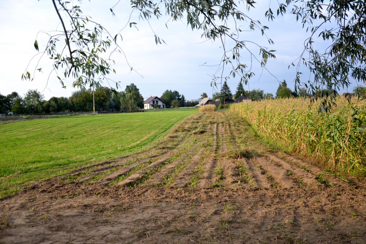 Bucovina, o lume despărțită în două 8782