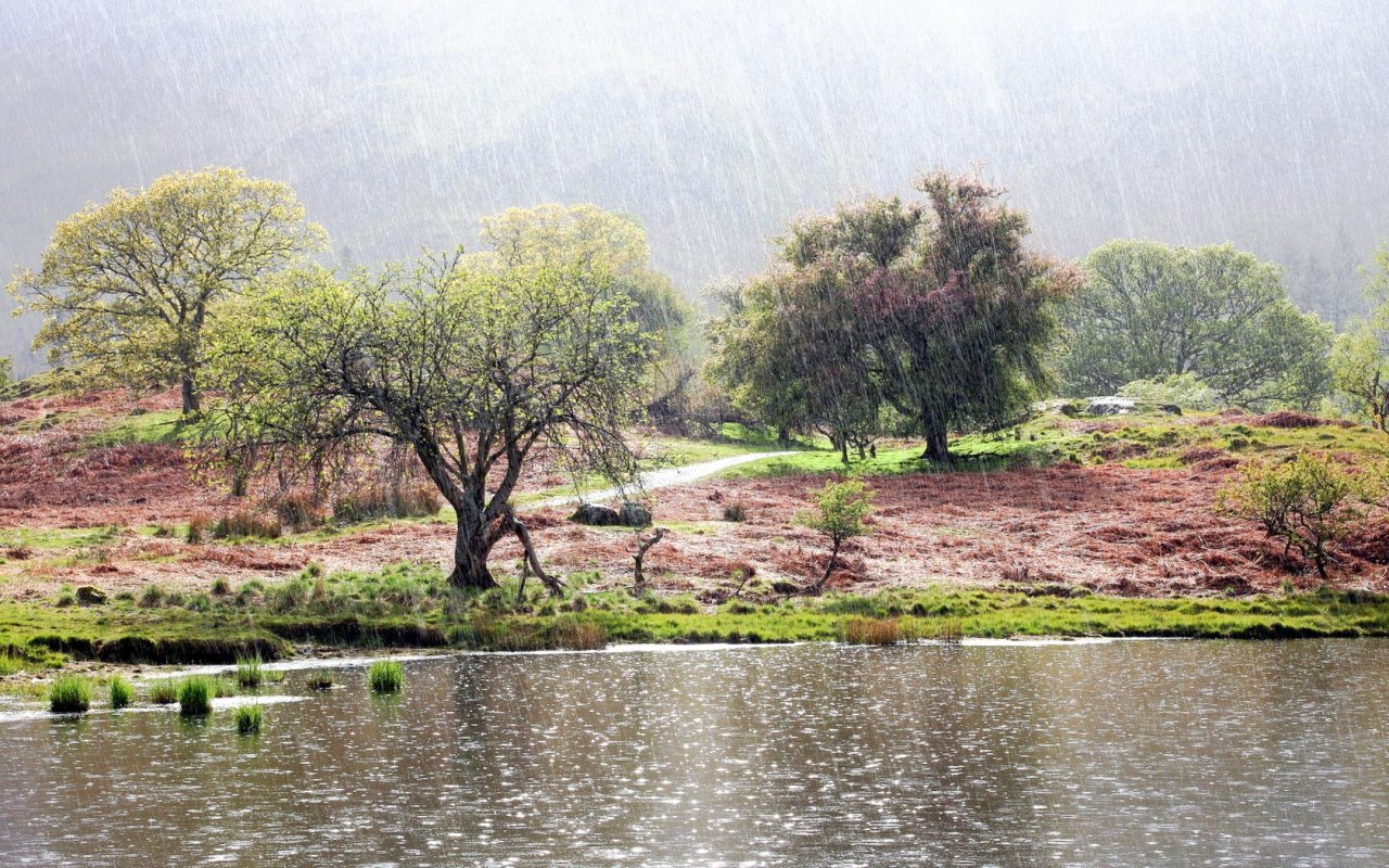 O zi cum n-a mai fost alta 8722