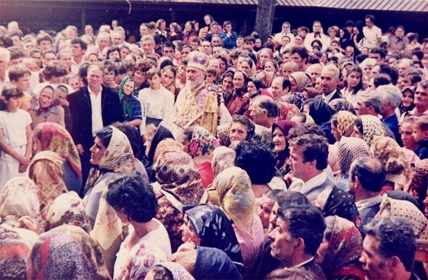 Un testament al prieteniei 8691