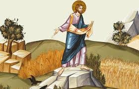 „Ieşit-a semănătorul să semene sămânţa sa” 8661