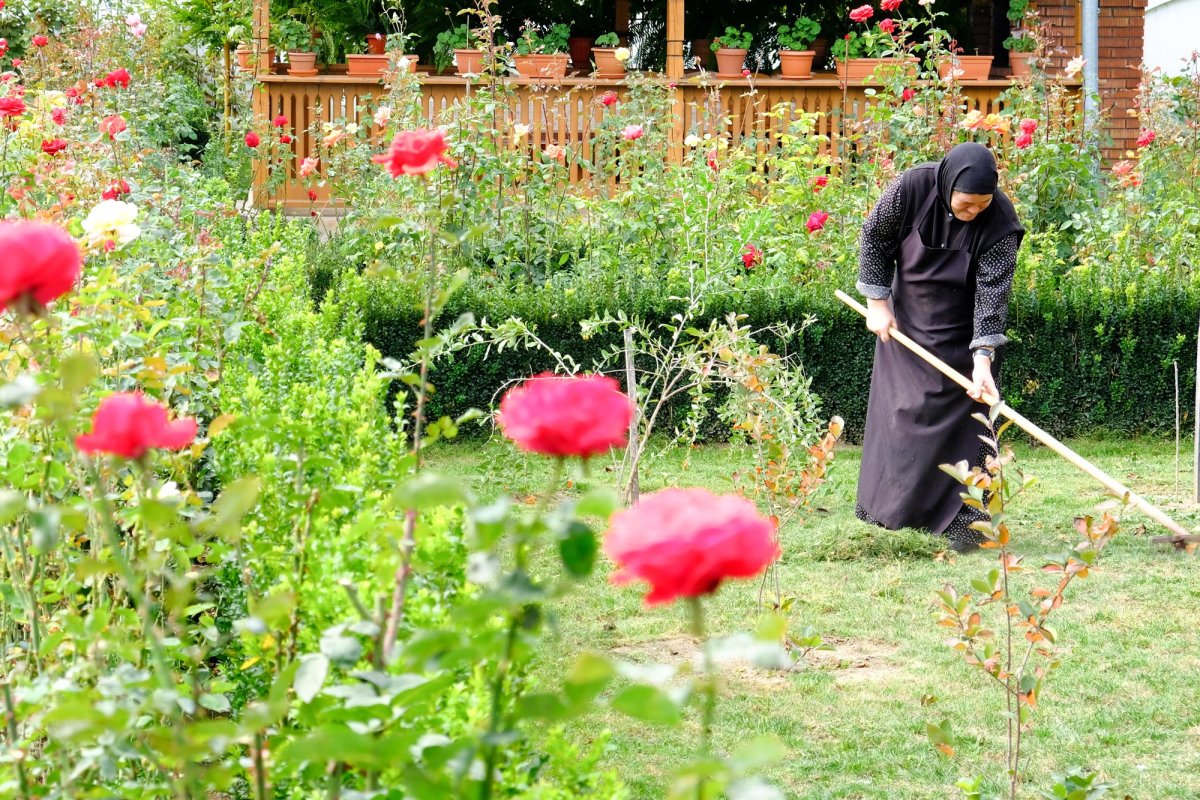 Mănăstirea cu mireasmă de trandafiri 8606