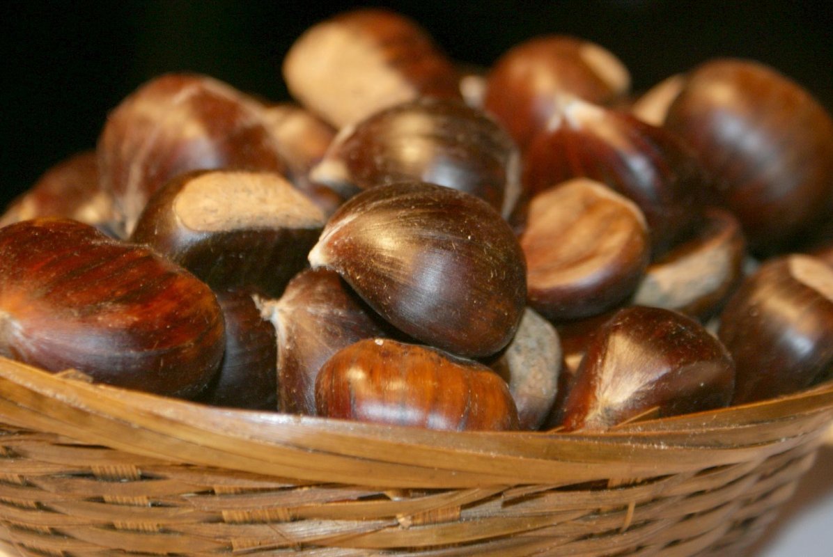 Castanele comestibile, indicate în probleme circulatorii 8554