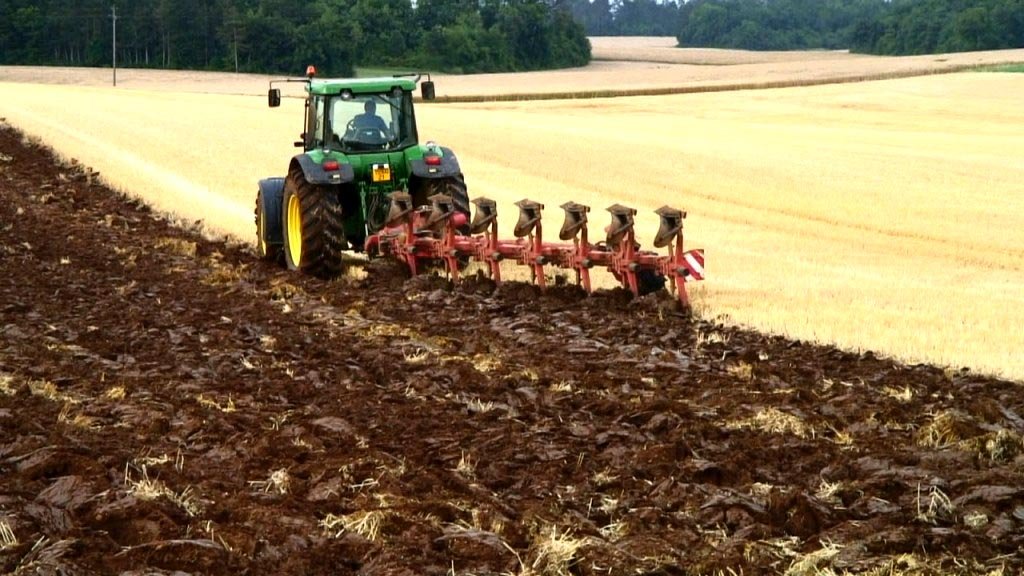 Calendarul de plată a subvenţiilor în agricultură 8348