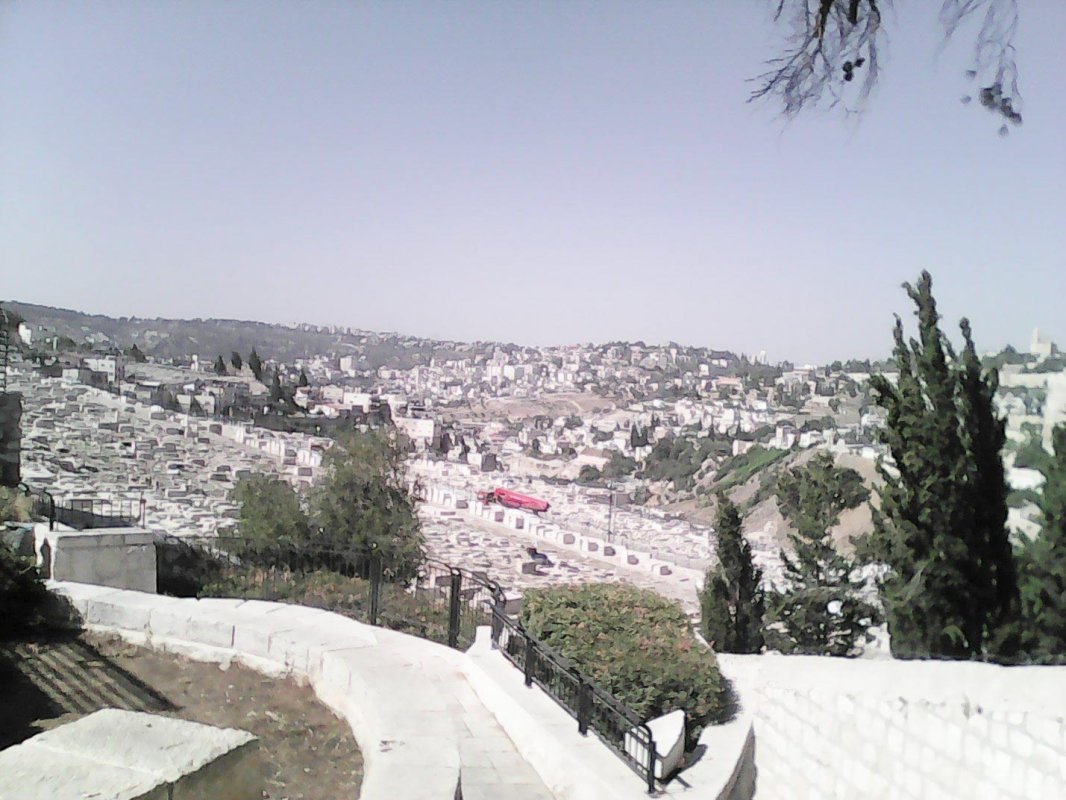 Pelerinaj al credincioșilor de la Parohia Rovine 8313