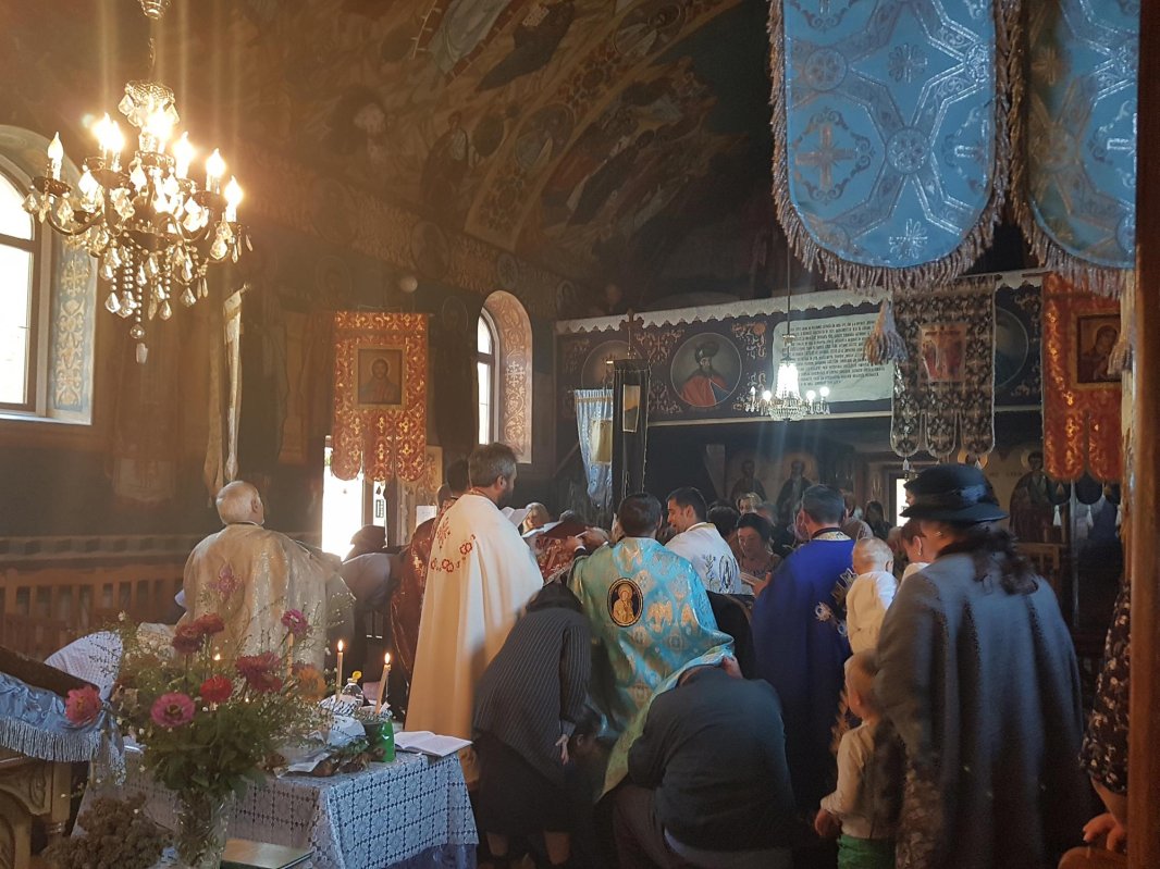 Cerc pastoral în localitatea Moneasa și Parohia Șepreuș 8237