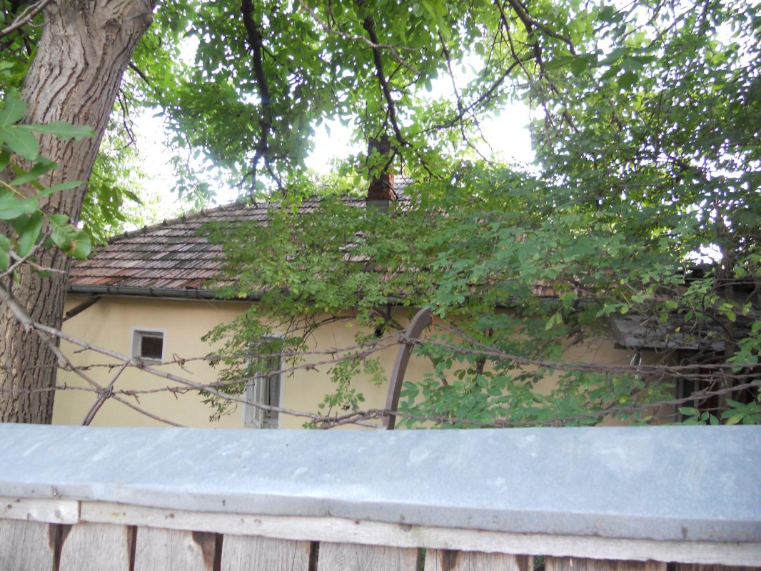 Maria Rotariu, femeia care a născut în închisoare 8270